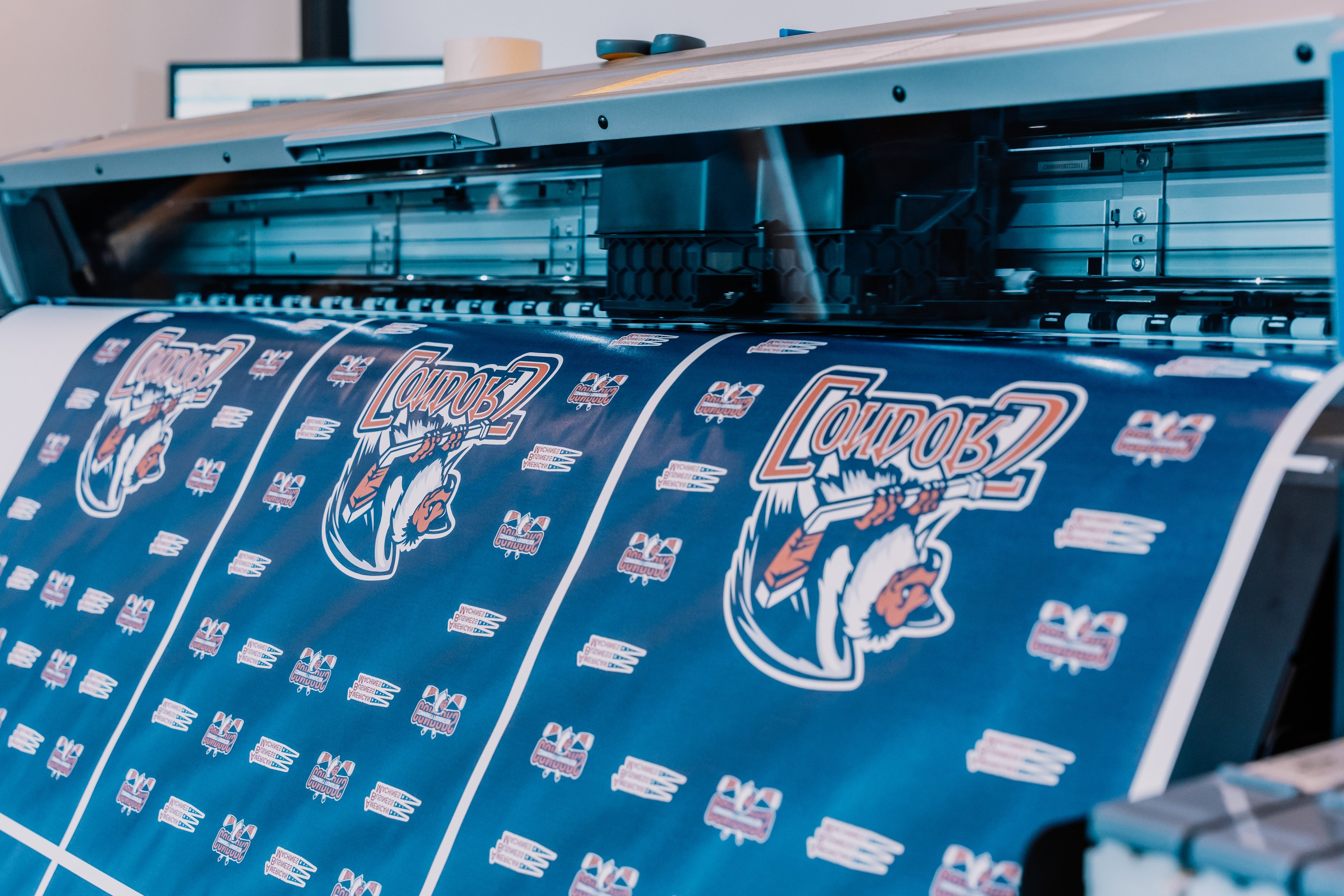 Condors Towels